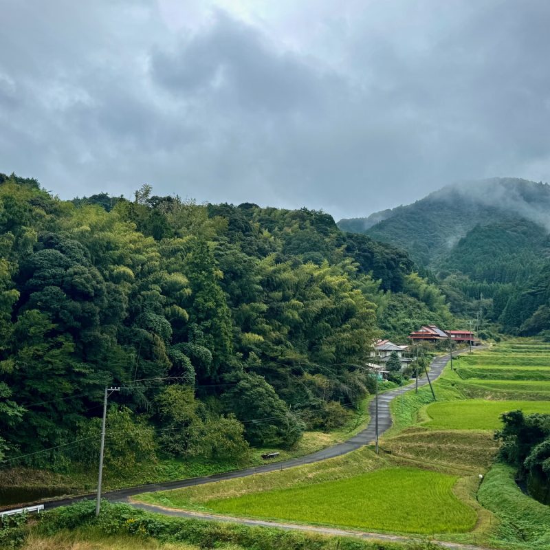 The Valley Below
