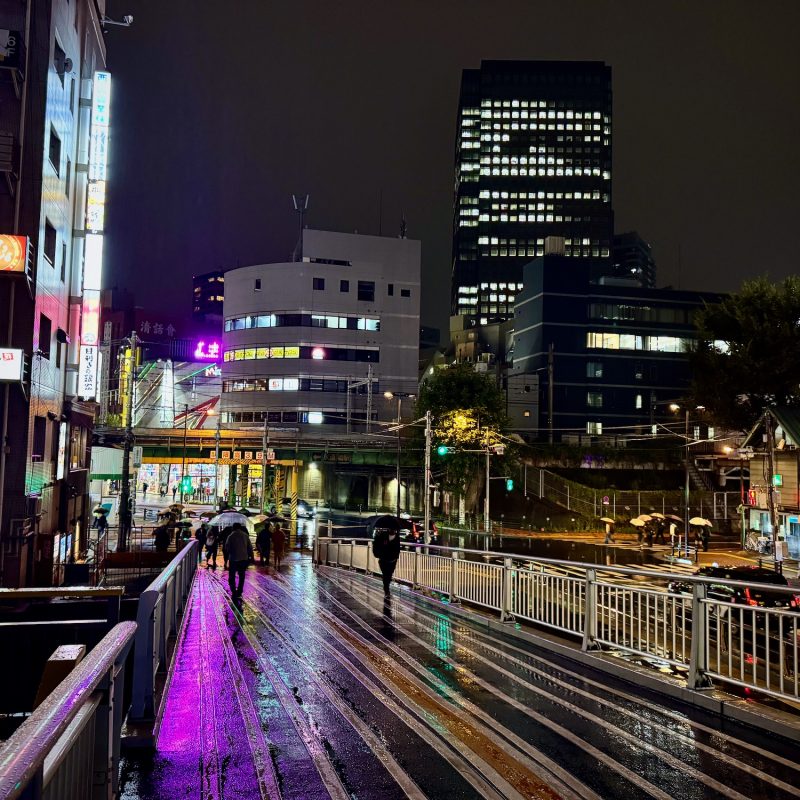 Rainy Night Vibes in Tokyo