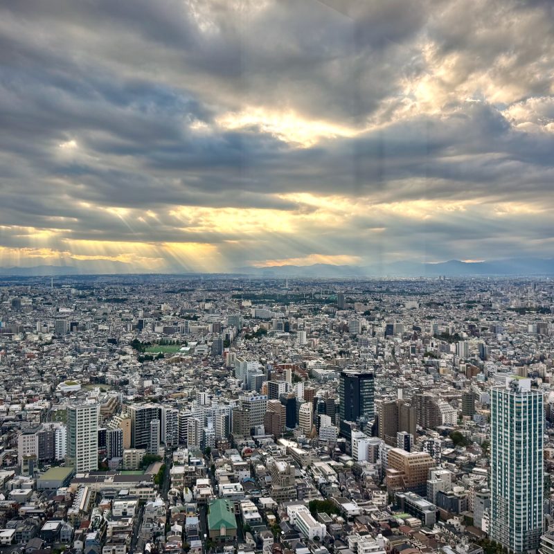 Tokyo from Above