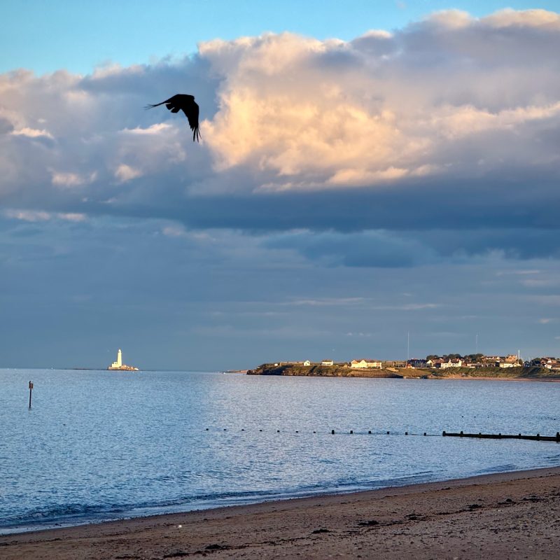 Another Glimpse of St. Mary's Lightouse