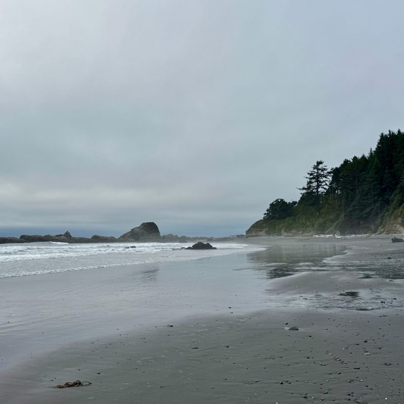 Olympic Shoreline