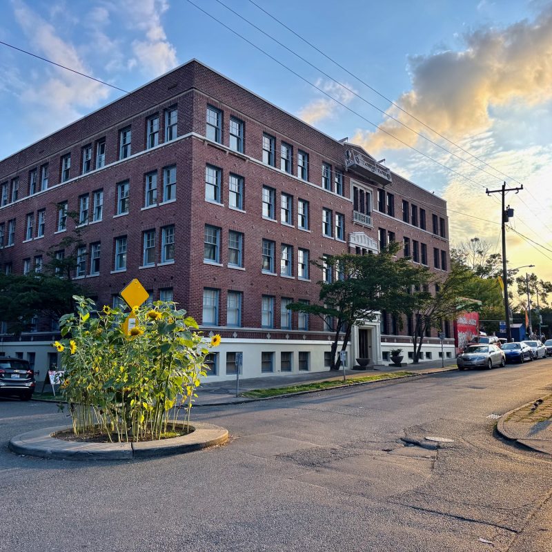 Sunflower Street