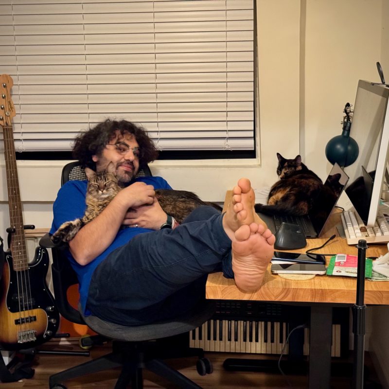 Cats in the Office