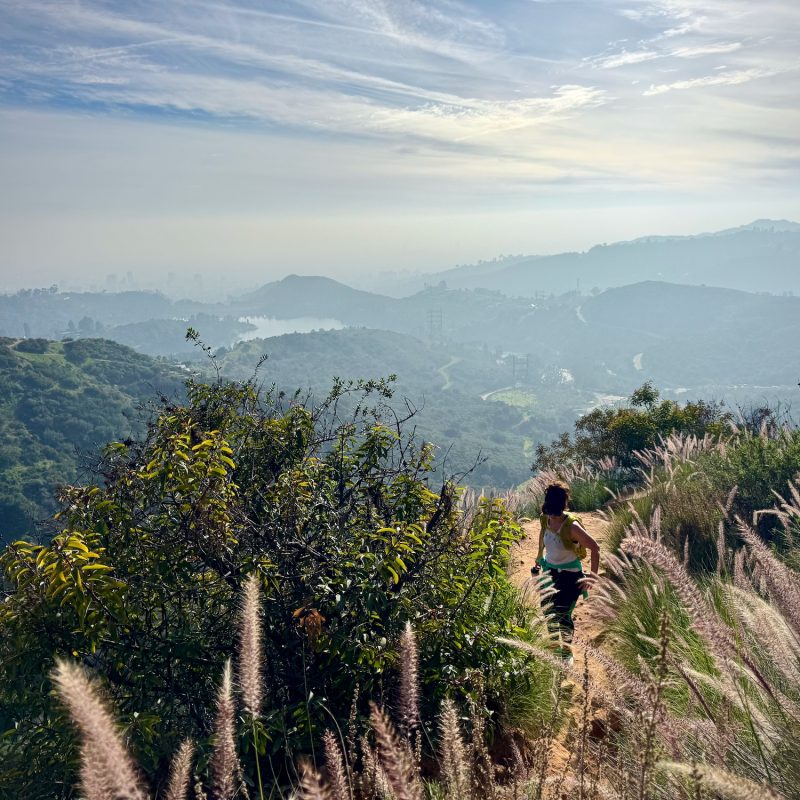 Backway Hike Up to the Hollywood Sign