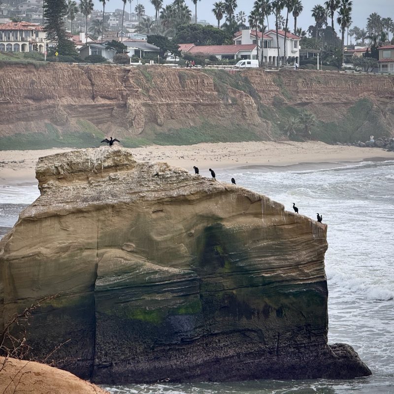 Coastal Breaks