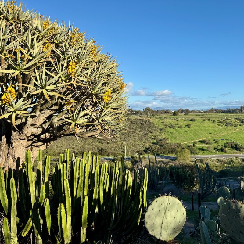 Balboa Park