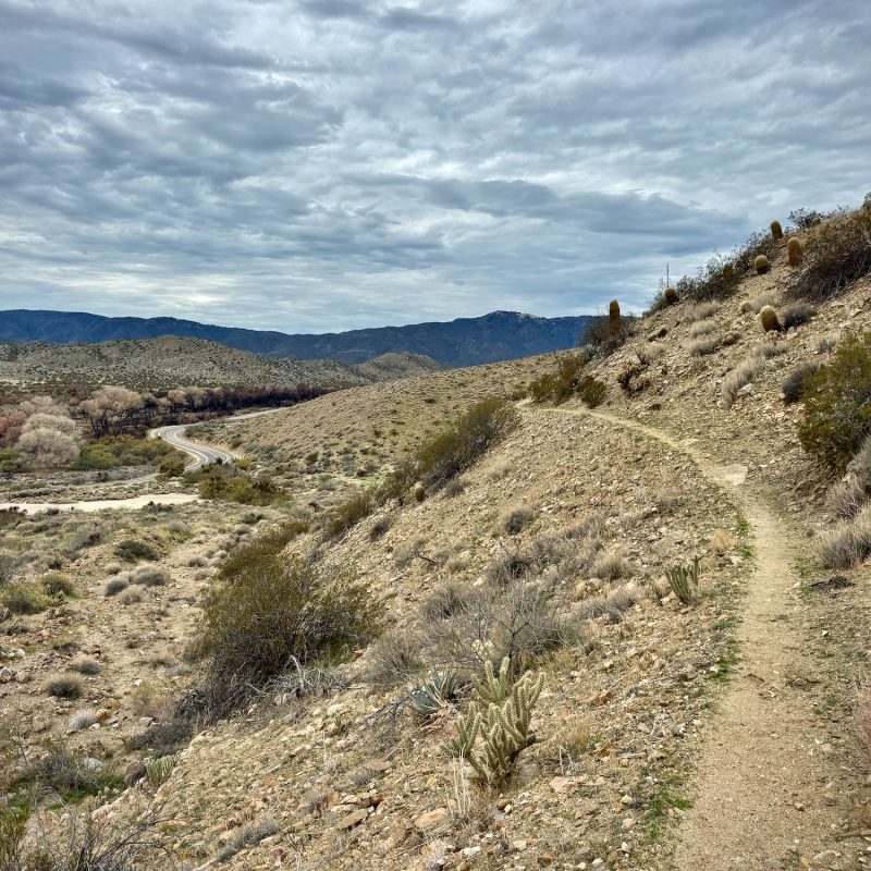 A Glimpse of the Socal PCT