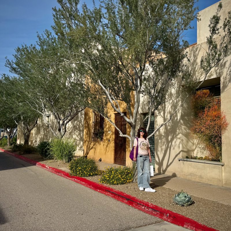 Fine Sunny Day in Tucson