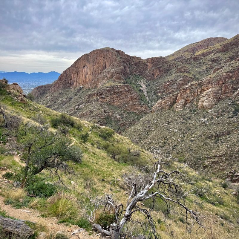 Tackling Ventana Canyon