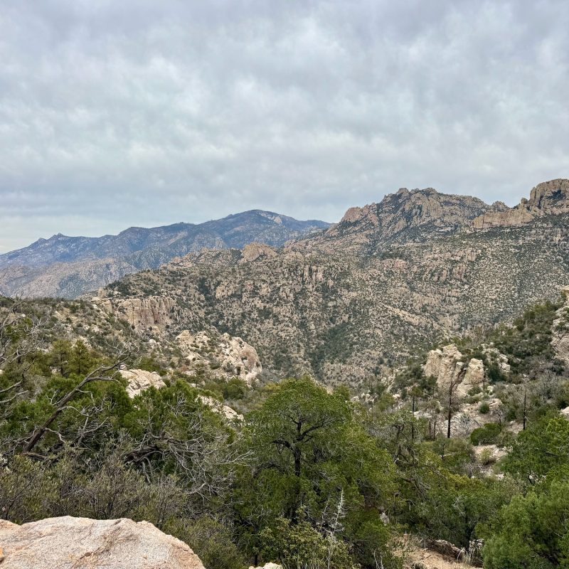 Back View into the Catalinas