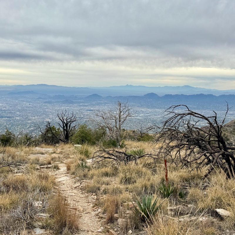 Westward Look near Mt. Kimball