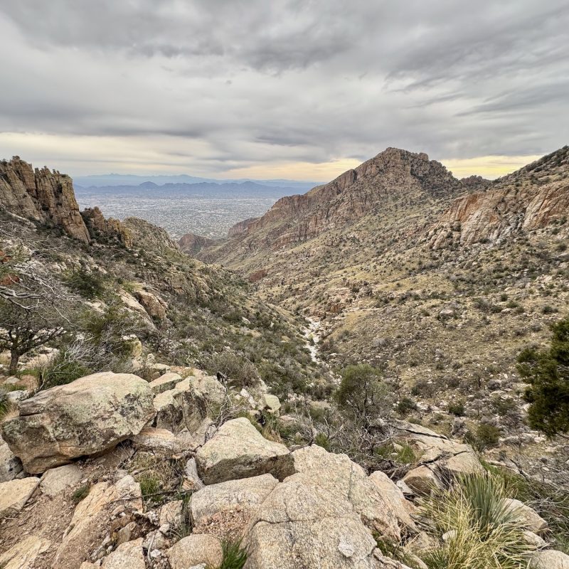Back Out Ventana Canyon