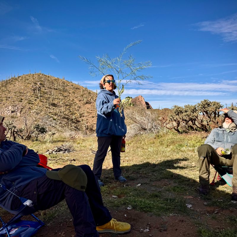 Wendy Identifying a New Invasive