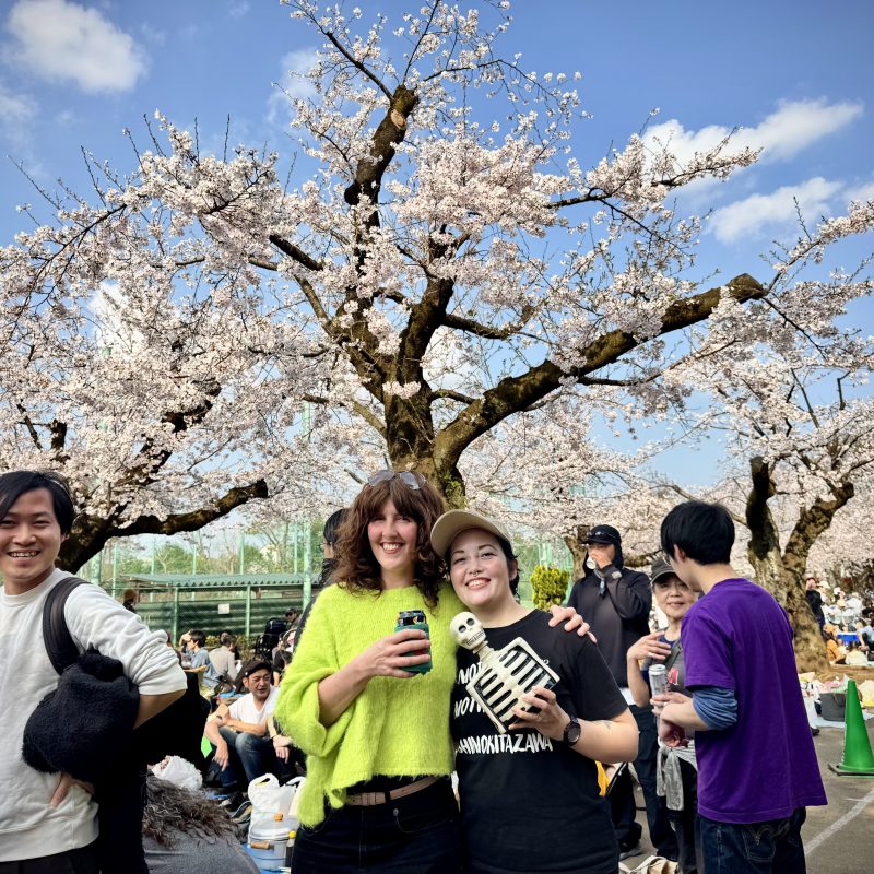 Hanami at Hanegi
