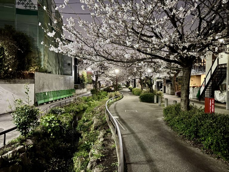 Getting Settled in Setagaya