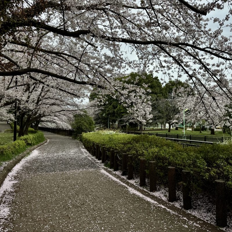 Soshigaya Park