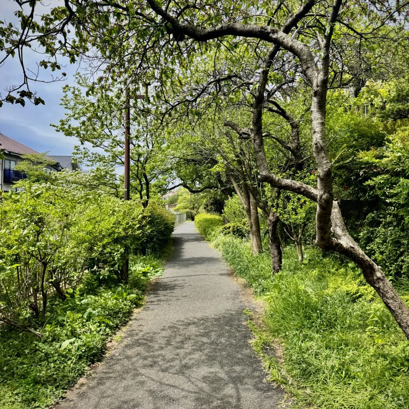 Jog Along the Kanda River