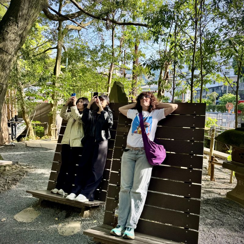 Tree Viewing Platform