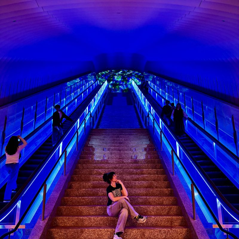 Coolest Escalator in the Land