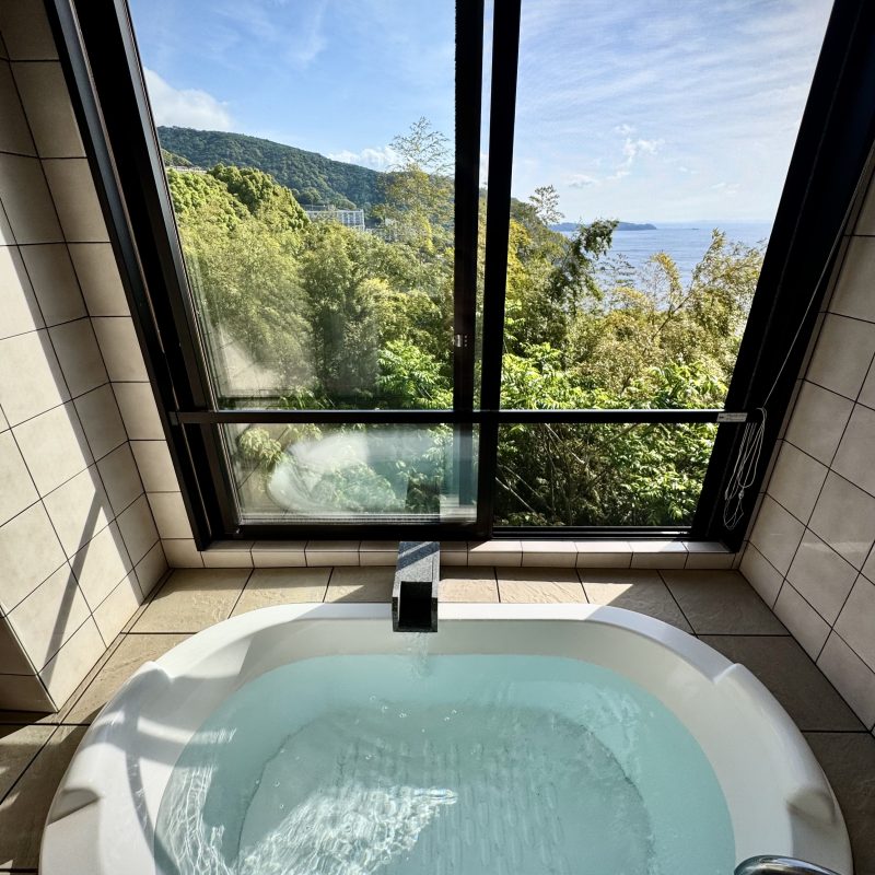 Onsen Hotel Bath