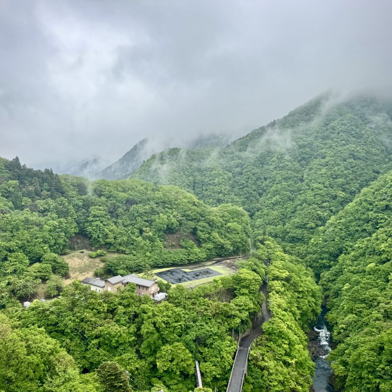 Gazing Below to the Tama River