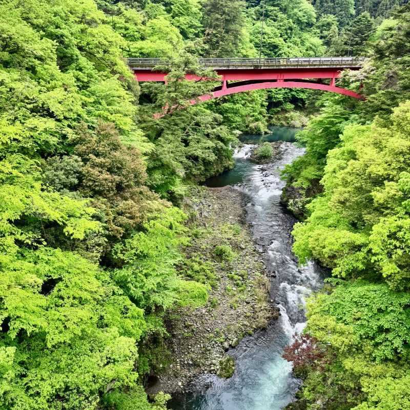 Red Bridge, River Rapids