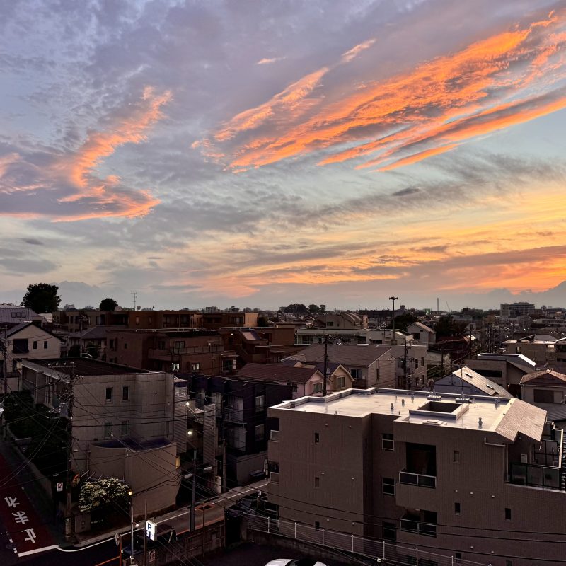 Sunset Spectacle