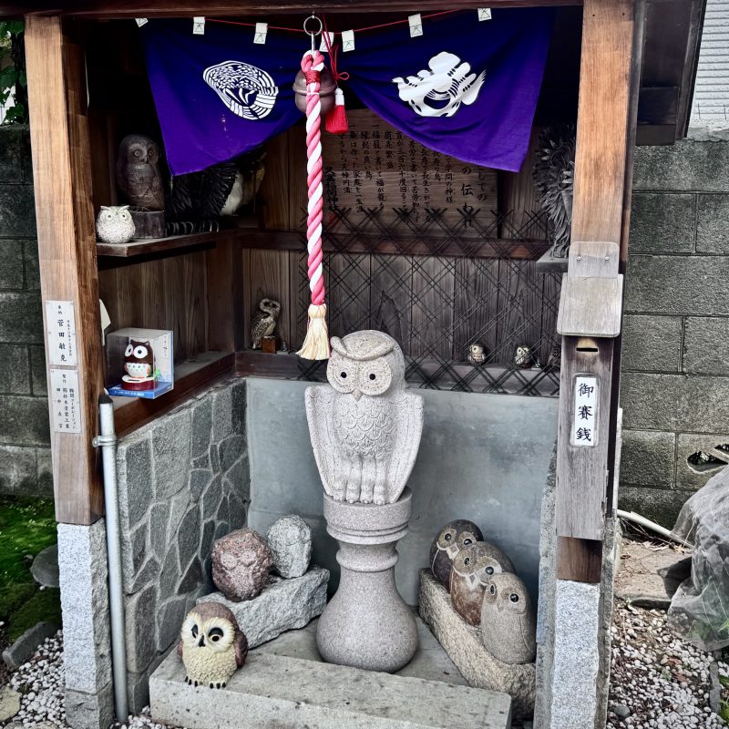 Owl at Hisatomi Inari-Jinja