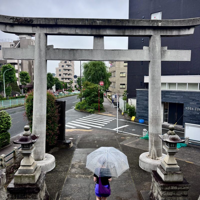 Rainy Cut Through the Gate