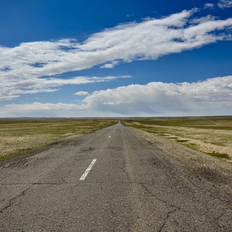 Out Into the Steppe Again