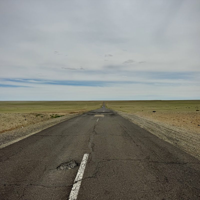 Steppe to Desert