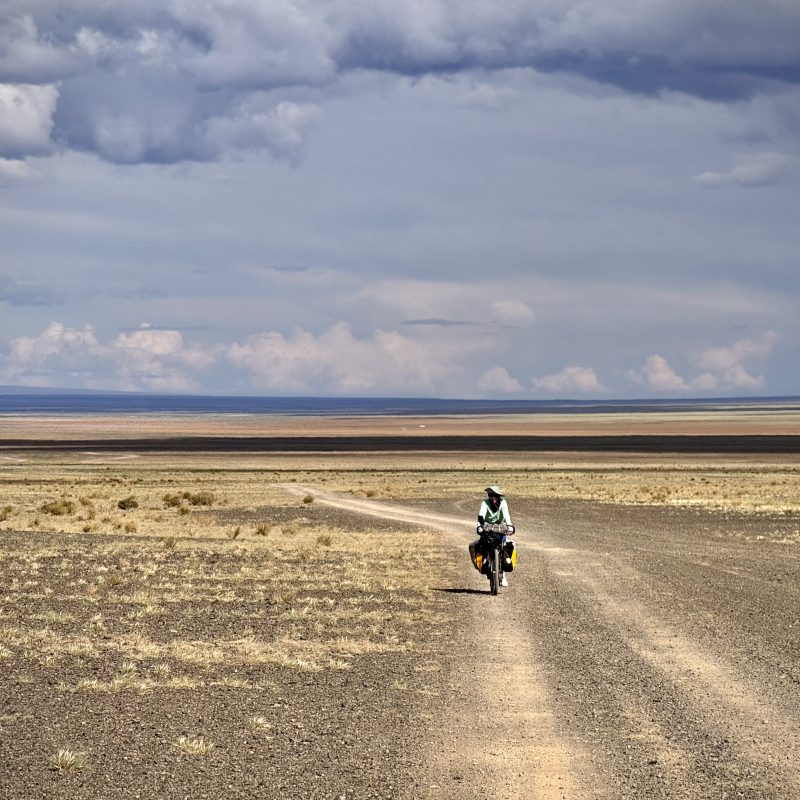 Desert Rider