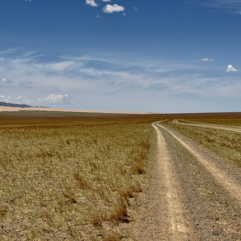 Road to the Dunes