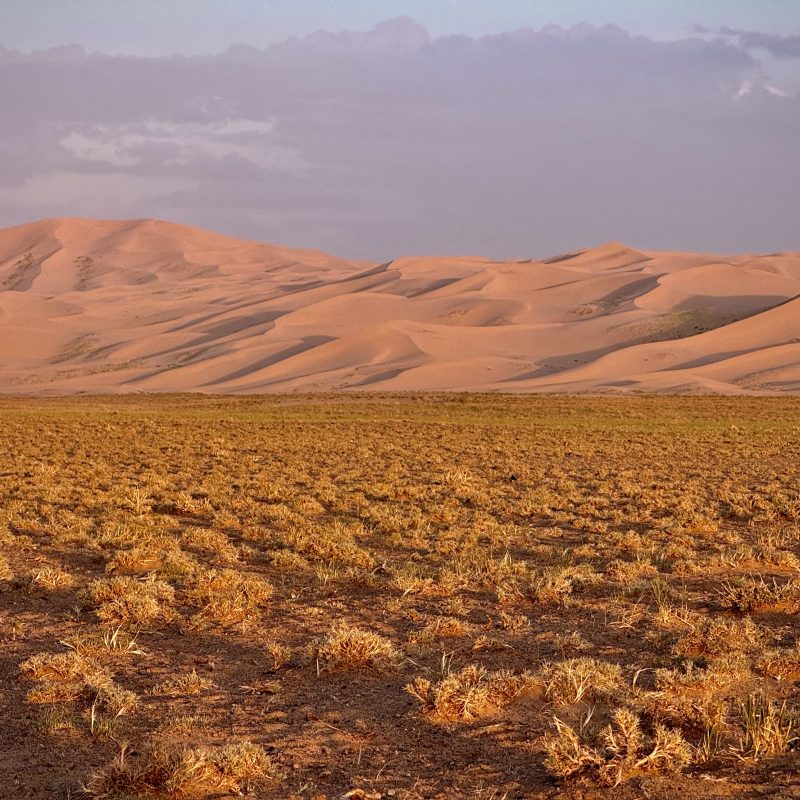 Dunes in Focus