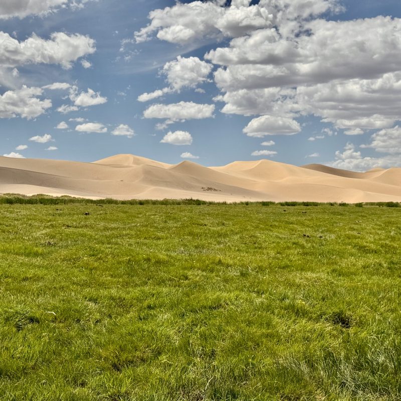 Khongoryn Ells