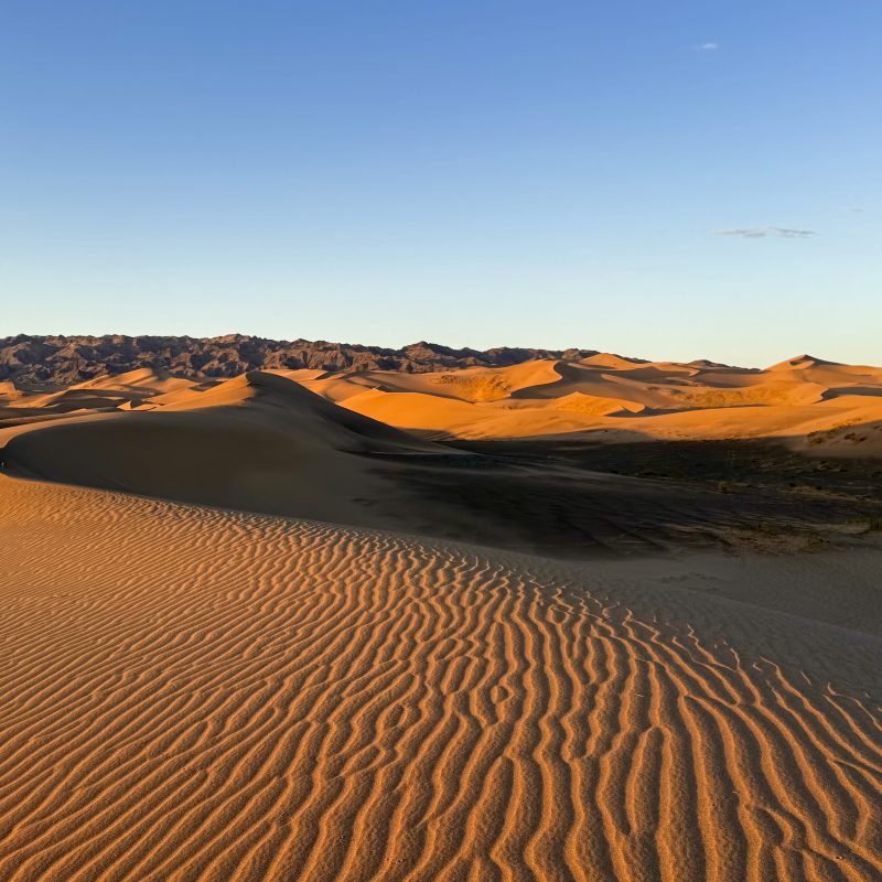 Dawn Dunes