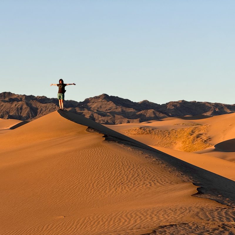 Dawn Dunes