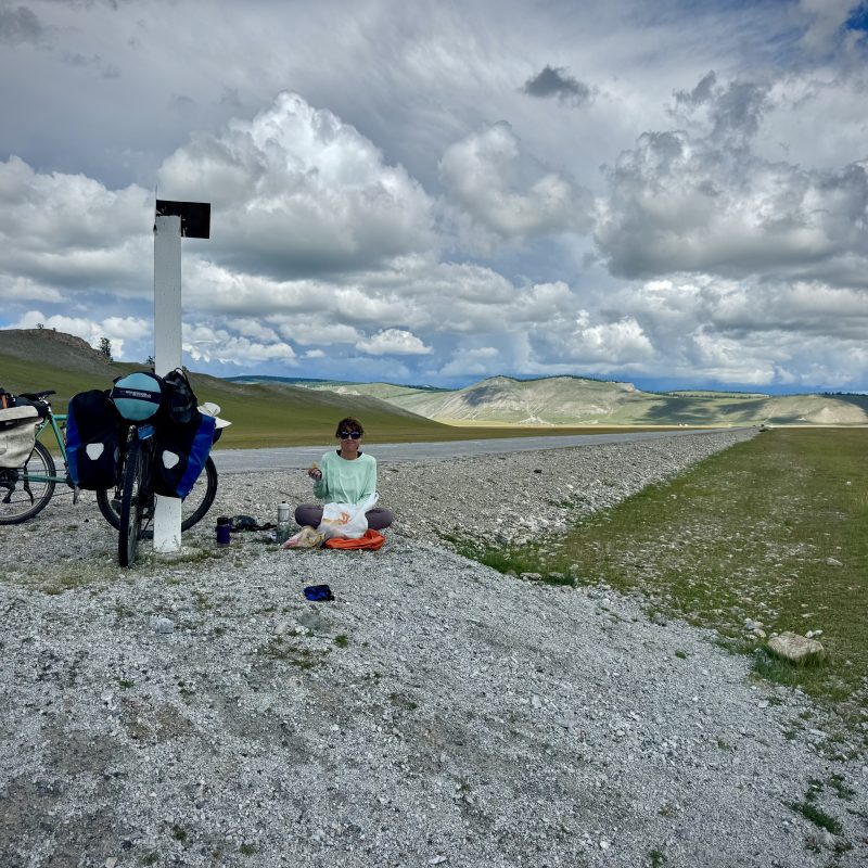 Roadside Picnic