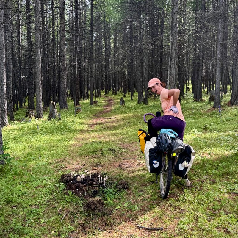 Trailside Pileup