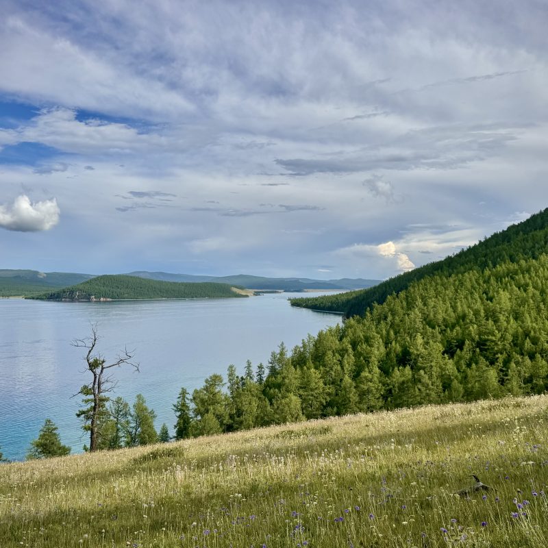 Coastline of Khovsgol